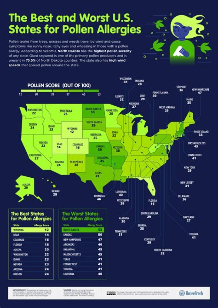 Are allergies bad in Tampa FL?