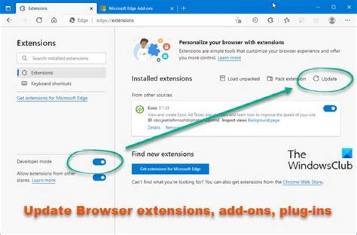 Are browser plug-ins safe?