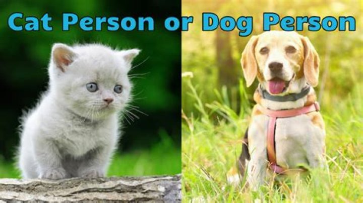 Are cat or dog people better?