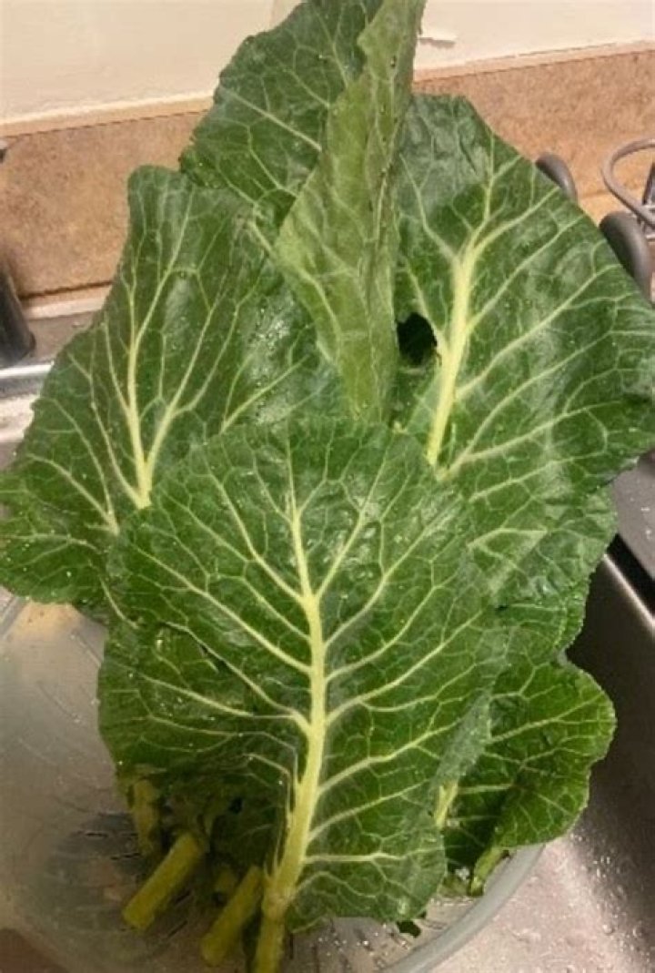 Are collards safe to eat?