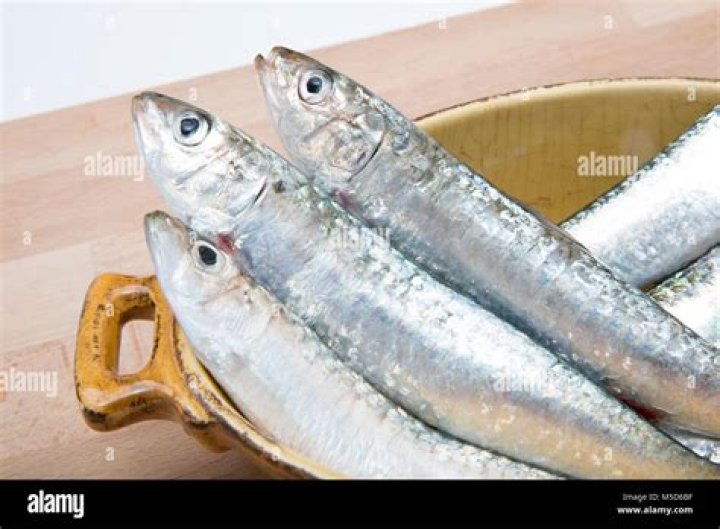 Are Cornish Sardines the same as pilchards?