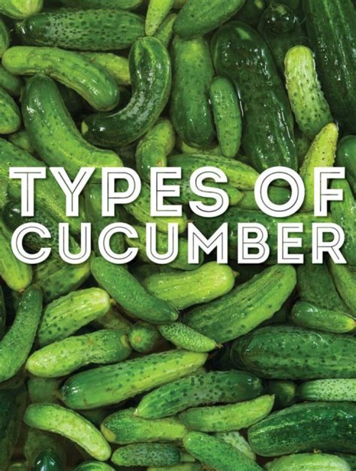 Are Cukes different from cucumbers?