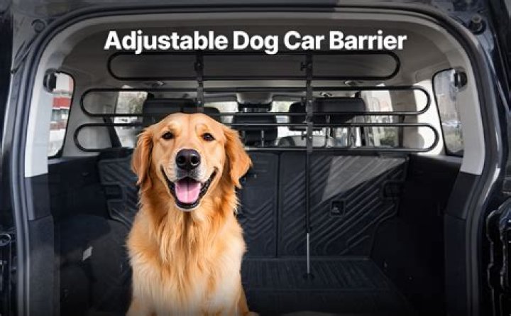 Are dog car barriers safe?