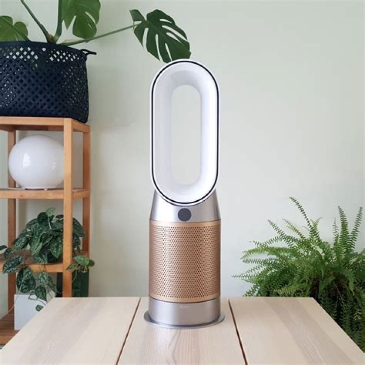 Are Dyson fans worth it?