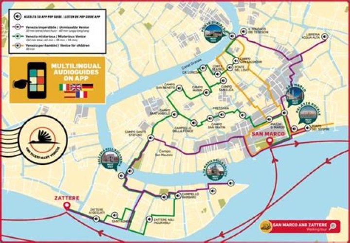 Are hop-on hop-off buses running in Washington DC?