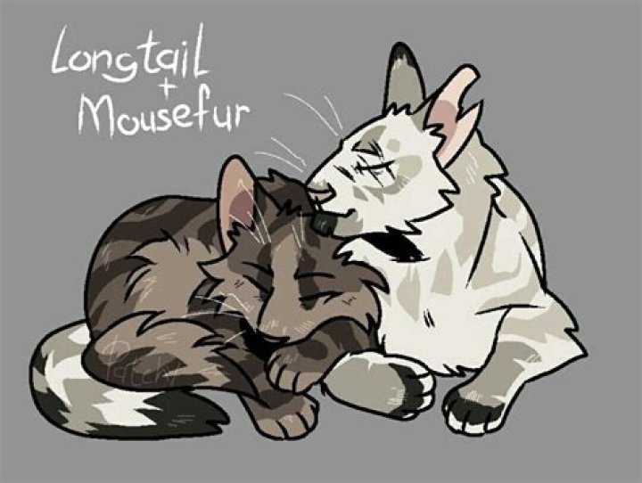 Are Mousefur and longtail mates?