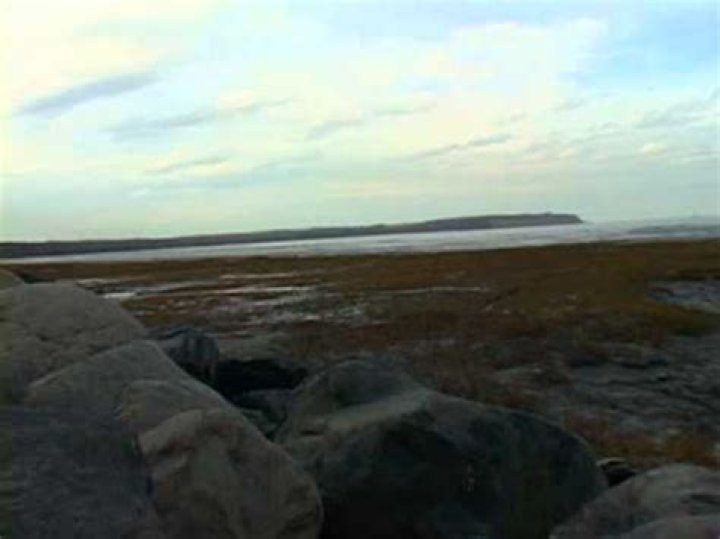Are mudflats dangerous?