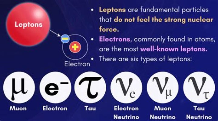 Are muons smaller than quarks?