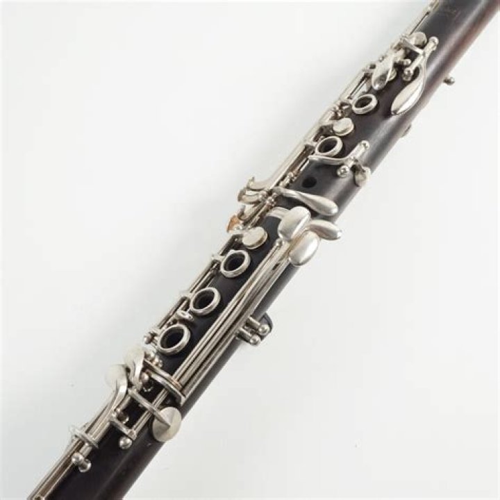 Are Noblet Paris clarinets good?