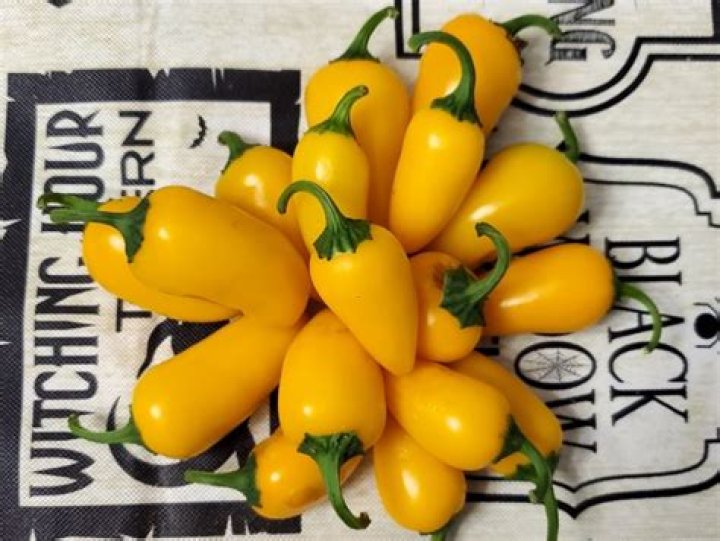 Are Numex peppers hot?