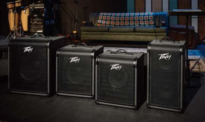 Are Peavey Max Bass amps good?