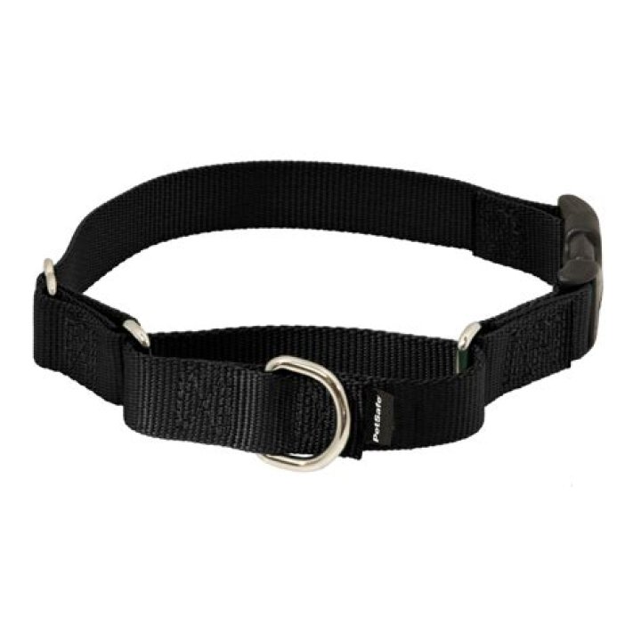 Are PetSafe collars cruel?