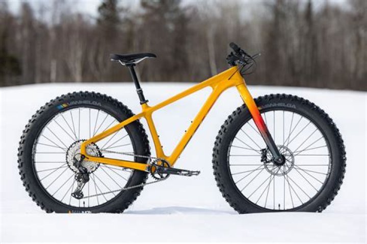 Are Salsa bikes worth it?