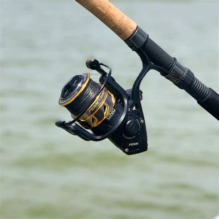 Are Sea Knight reels any good?