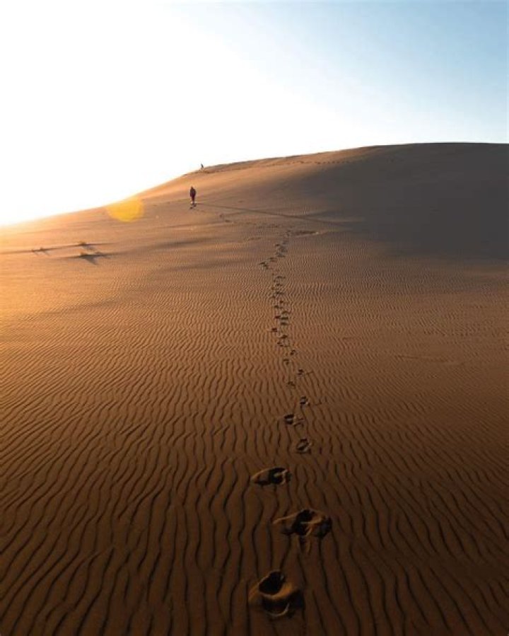 Are there any deserts in Michigan?