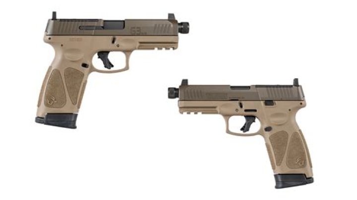 Are there any Taurus guns for sale online?