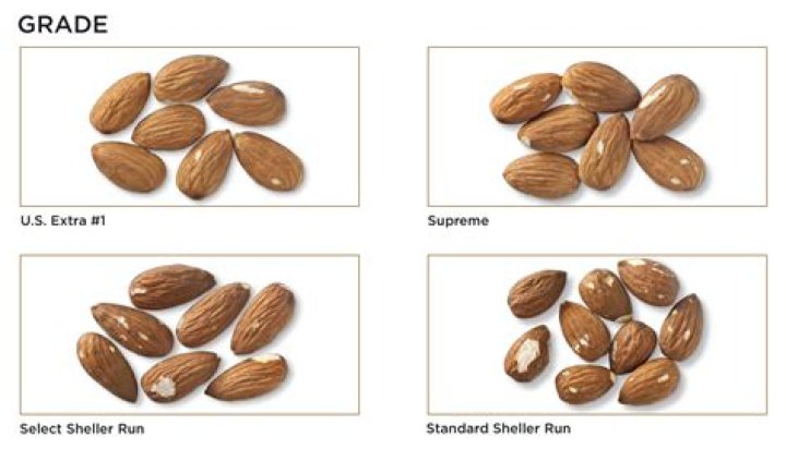 Are there different grades of almonds?