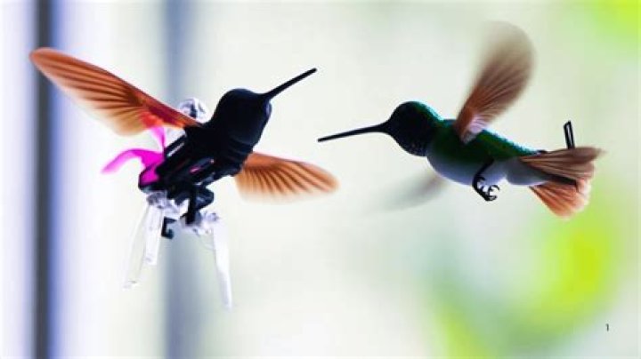 Are there drones that look like hummingbirds?