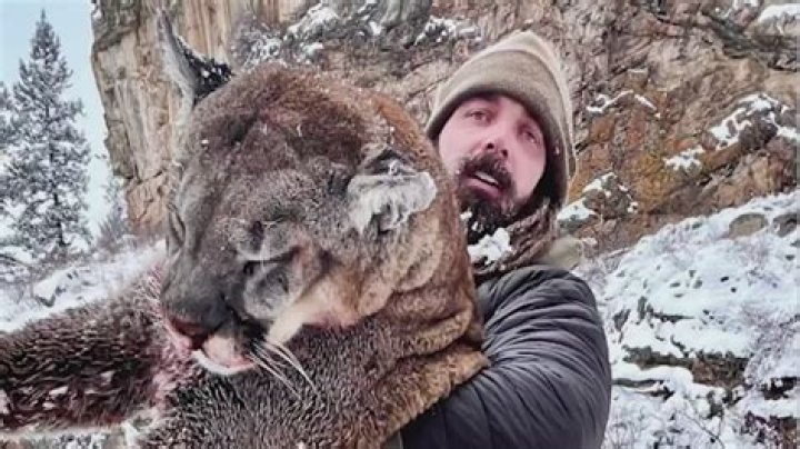 Can a man kill lion?