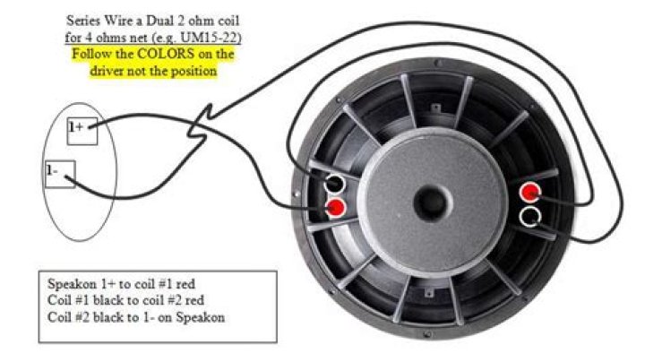 Can a subwoofer have two inputs?
