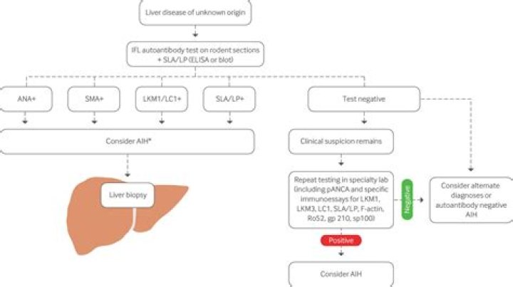 Can autoimmune hepatitis be transmitted?