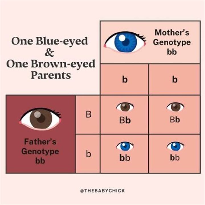 Can baby have blue eyes if one parent has brown?