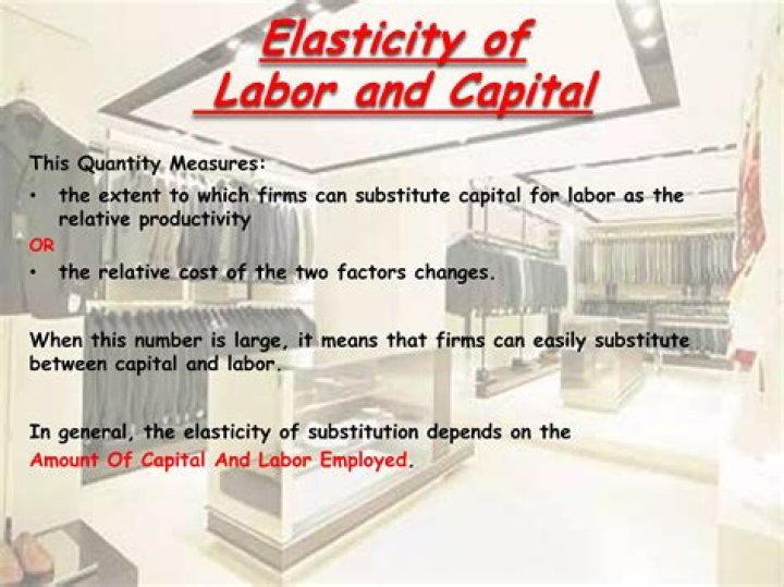 Can capital substitute for labor?
