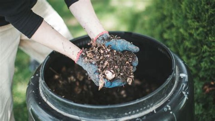 Can compost be used as fertilizer in organic farming?