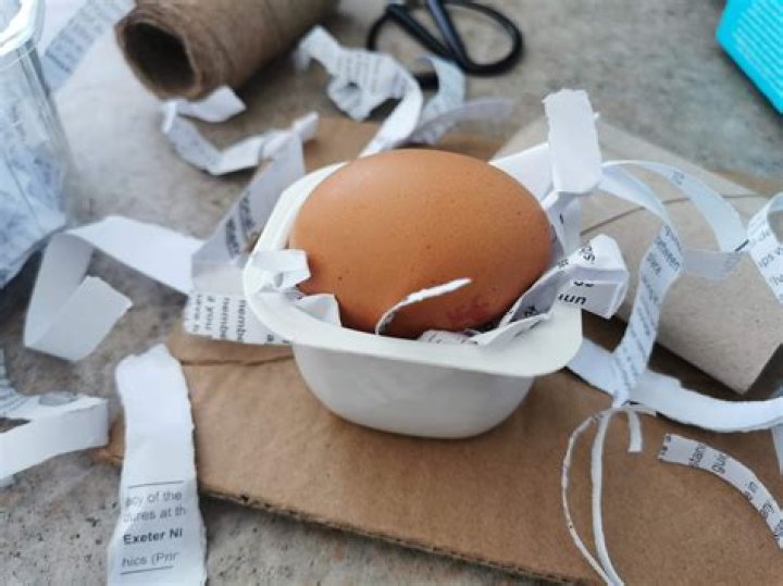 Can cotton balls protect an egg?