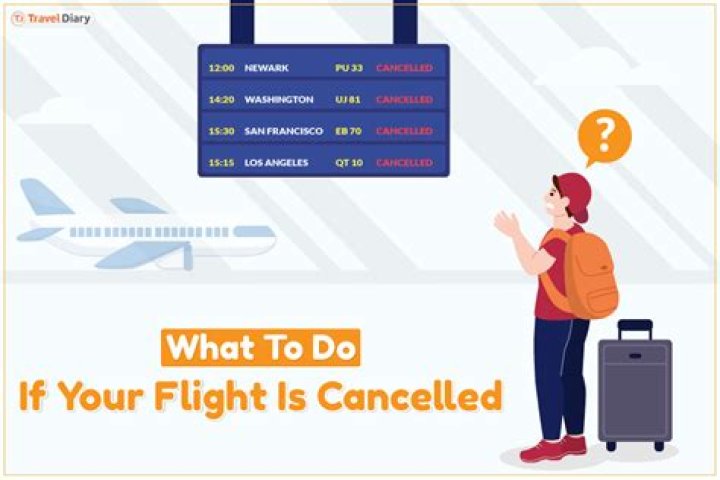 Can I check if my flight is Cancelled?