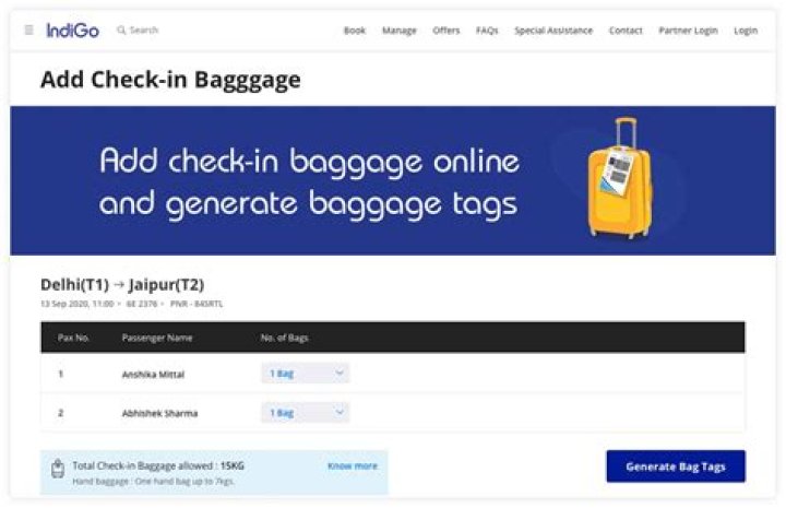 Can I check-in online with baggage?