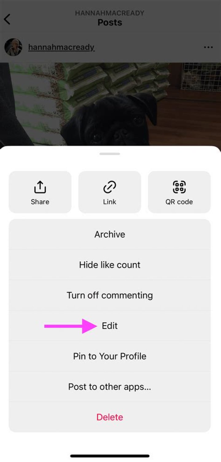 Can I put a link in alt text?