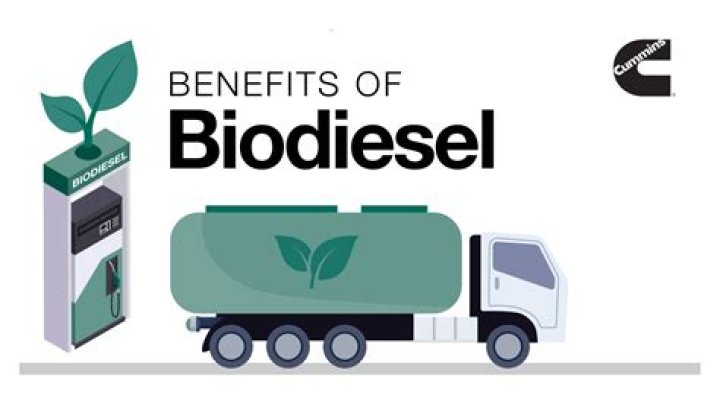 Can I use biodiesel in my BMW?