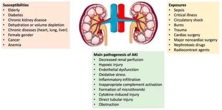 Can kidney cause internal bleeding?