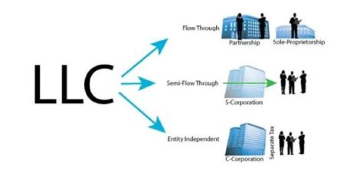 Can LLC be holding company?