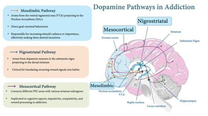Can Parkinsons cause addiction?