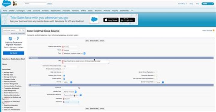 Can Salesforce connect to external database?