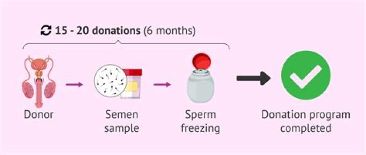 Can sperm donor traced?