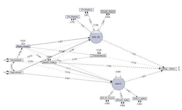 Can standardized coefficients be greater than 1?