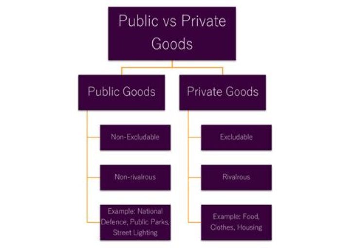 Can the private market provide a public good on its own?