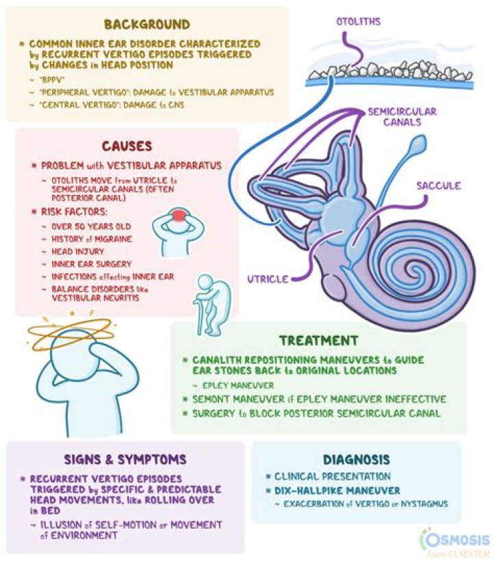 Can Threadworms cause vertigo?