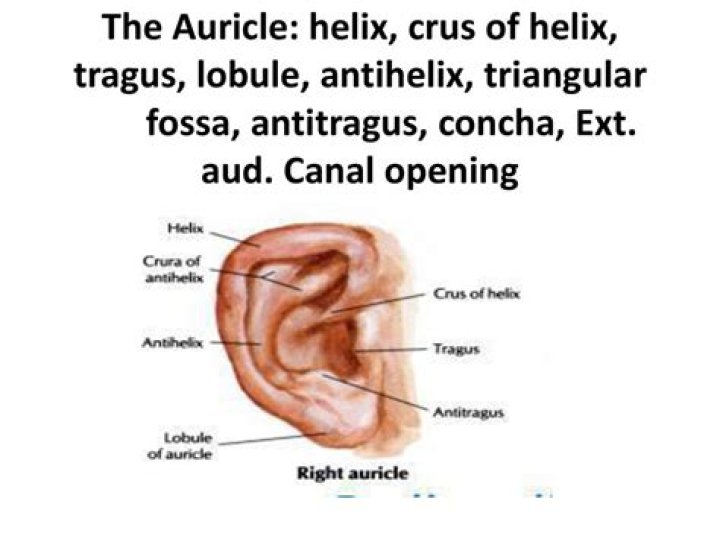 Can you add amps to Helix?