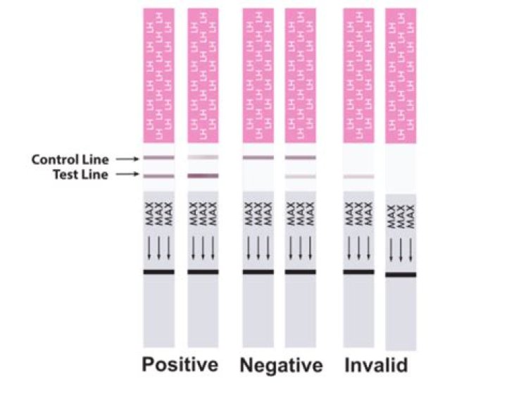 Can you be pregnant with a negative LH test?