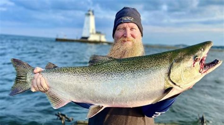 Can you catch salmon in PEI?