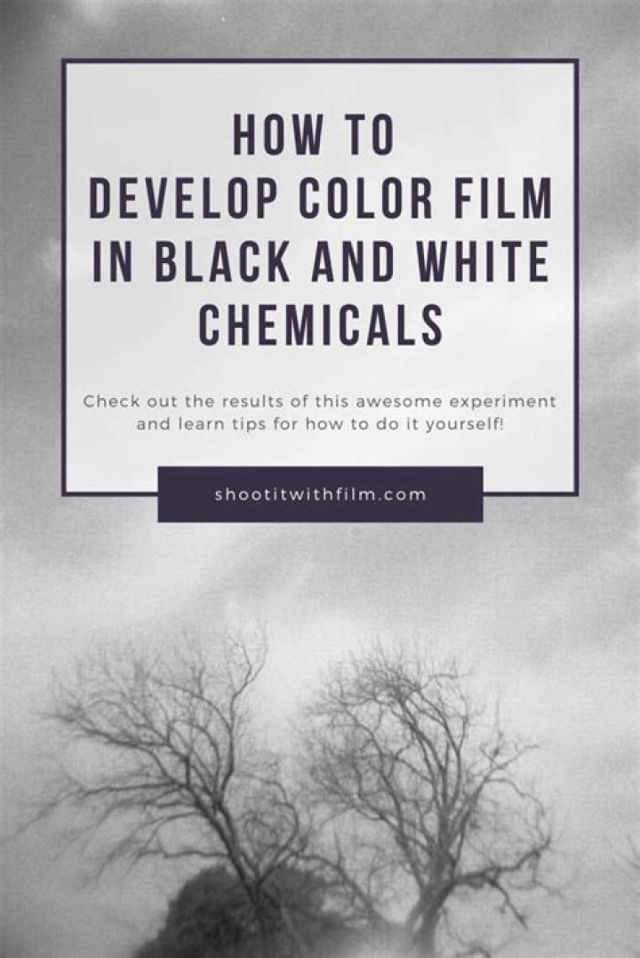 Can you develop Colour film in black and white chemicals?