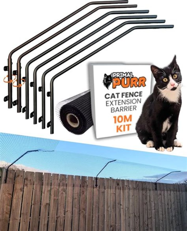 Can you do an Invisible Fence for cats?
