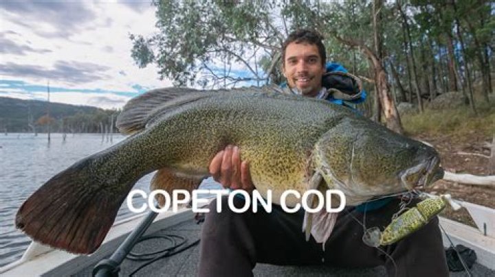 Can you fish at Copeton Dam?