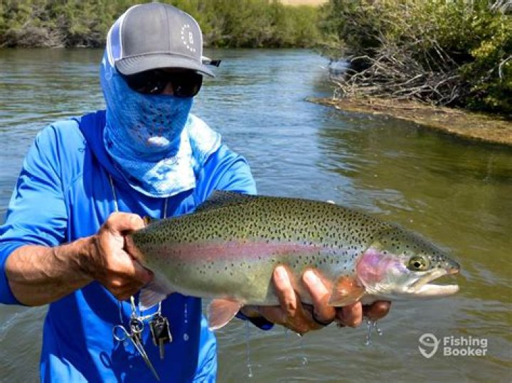 Can you fish in San Felipe?