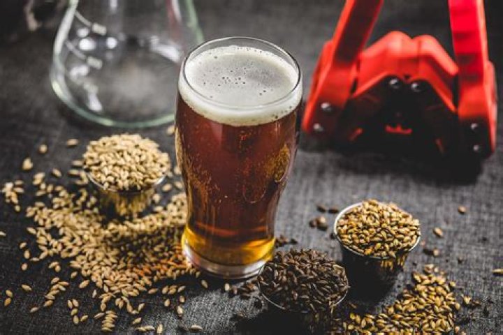 Can you get a brewing degree online?