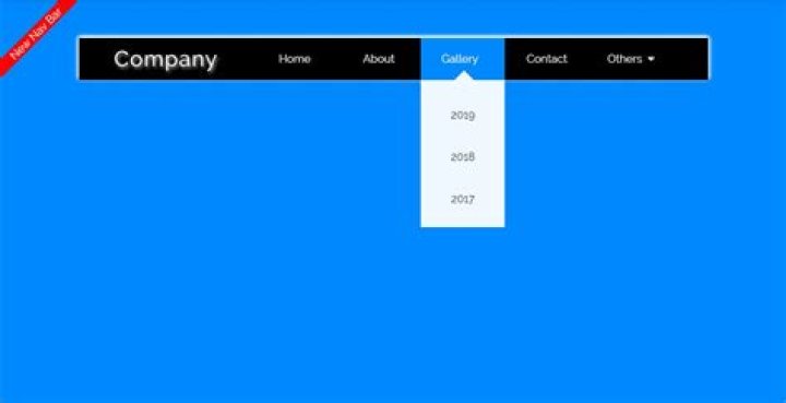 Can you have two nav bars?